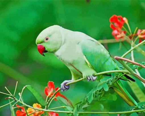 Rose Ringed Parakeet Diamond Painting