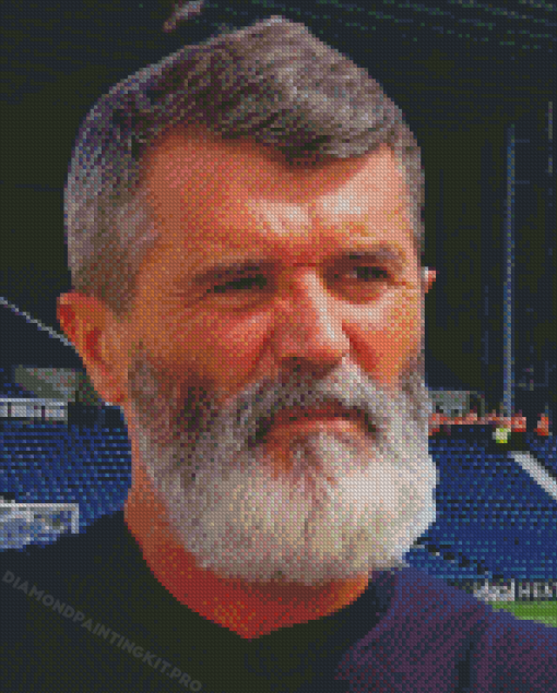 Roy Keane Diamond Paintings