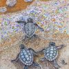 Sea Baby Turtles Diamond Painting