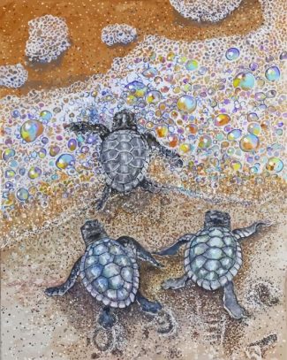 Sea Baby Turtles Diamond Painting