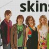 Skins Serie Poster Diamond Painting