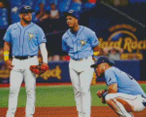 Tampa Bay Rays Players Diamond Painting