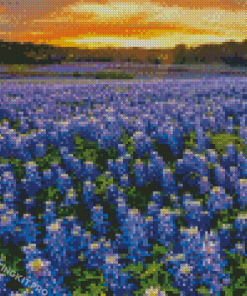 Texas Bluebonnets Field Diamond Paintings