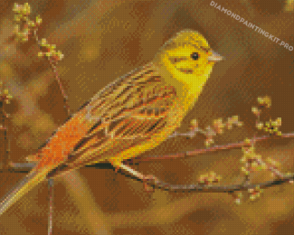 The Yellowhammer Bird Diamond Paintings