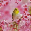 Yellow Bird And Pink Flowers Diamond Painting