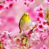 Yellow Bird And Pink Flowers Diamond Painting