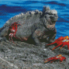 Aesthetic Marine Iguana Diamond Painting