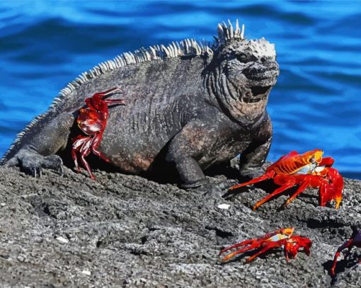 Aesthetic Marine Iguana Diamond Painting