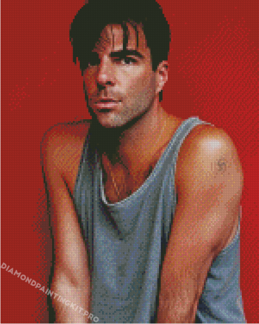 Aesthetic Zachary Quinto Diamond Painting