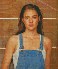 Aesthetic Shailene Woodley Diamond Paintings