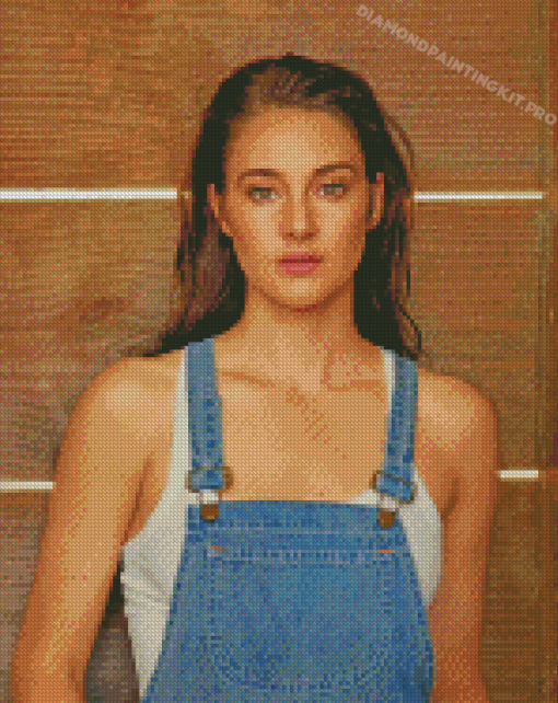 Aesthetic Shailene Woodley Diamond Paintings