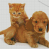 Aesthetic Tabby Kitten And Golden Spaniel Puppy Diamond Paintings