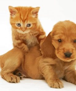 Aesthetic Tabby Kitten And Golden Spaniel Puppy Diamond Paintings