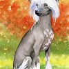 Aesthhetic Chinese Crested Dog Diamond Paintings