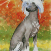 Aesthhetic Chinese Crested Dog Diamond Paintings