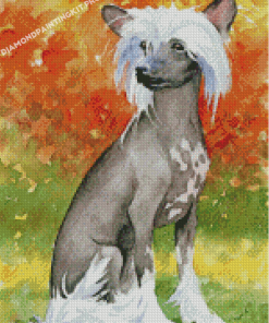 Aesthhetic Chinese Crested Dog Diamond Paintings