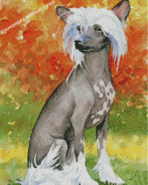 Aesthhetic Chinese Crested Dog Diamond Paintings