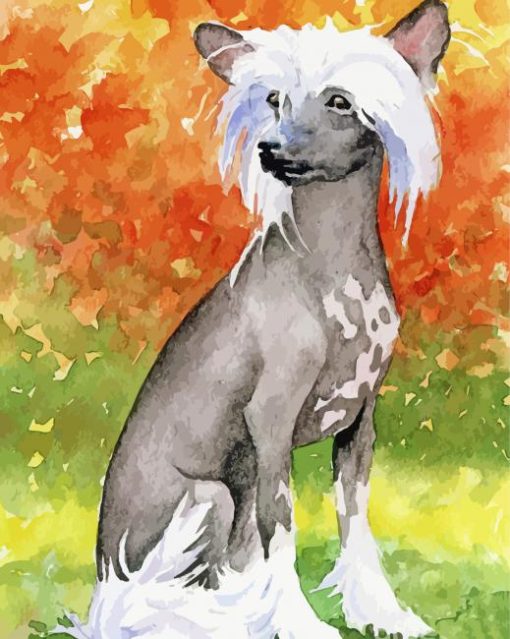 Aesthhetic Chinese Crested Dog Diamond Paintings