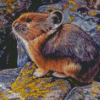 American Pika Animal Diamond Paintings