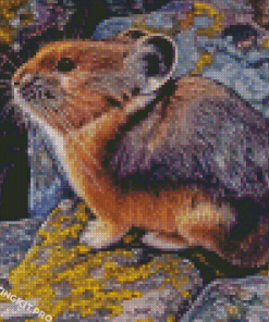 American Pika Animal Diamond Paintings