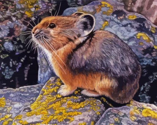 American Pika Animal Diamond Paintings