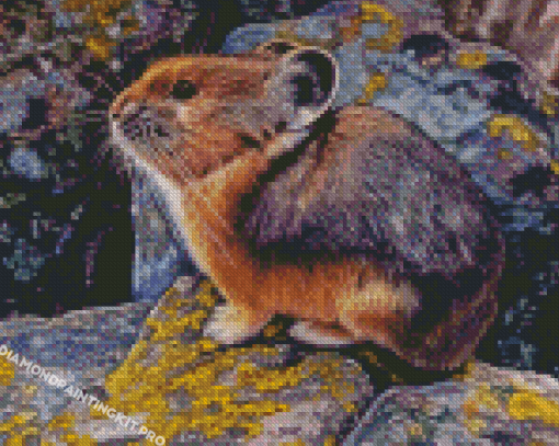 American Pika Animal Diamond Paintings