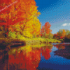 Autumn New England Trees Diamond Painting