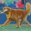 Baseball Dog Diamond Paintings