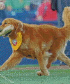 Baseball Dog Diamond Paintings