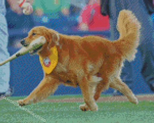 Baseball Dog Diamond Paintings