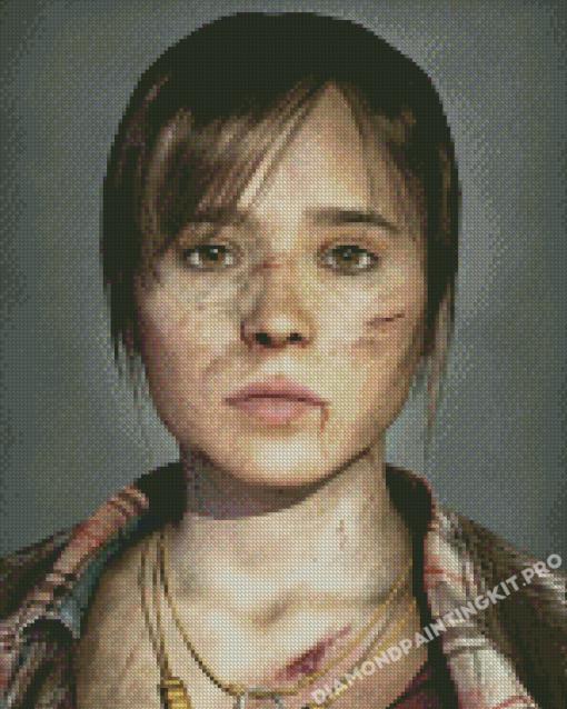 Beyond Two Souls Diamond Painting