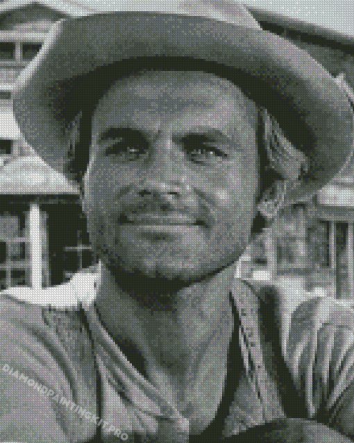 Black And White Terence Hill Diamond Paintings