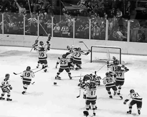 Black And White Miracle On Ice Diamond Paintings