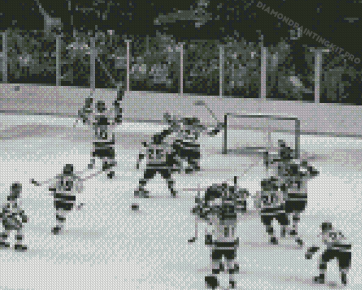Black And White Miracle On Ice Diamond Paintings