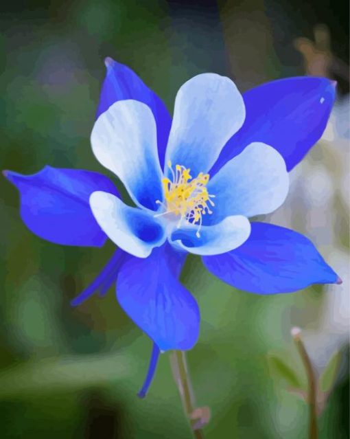 Blue Colorado Columbine Diamond Painting