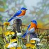 Blue Birds Diamond Painting