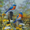 Blue Birds Diamond Paintings