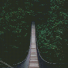 Bridge In Woodland Diamond Painting