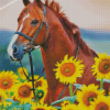 Brown Horse With Sunflowers Diamond Paintings