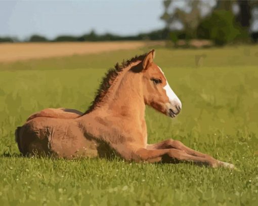 Brown Baby Horse Diamond Painting