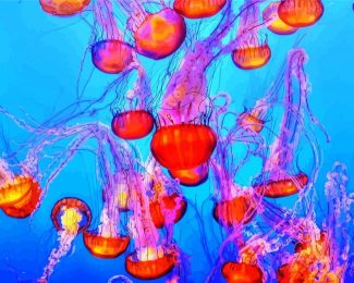 Colorful Jellyfish Underwater Diamond Paintings