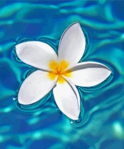 Cool Plumeria Flower In Water Diamond Painting