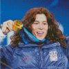 Cool Shaun White Diamond Painting