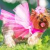 Cute Dog In Pink Dress Diamond Painting