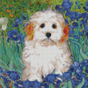 Cute Maltipoo Diamond Painting