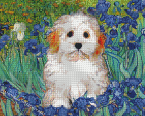 Cute Maltipoo Diamond Painting