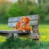 Cute Brown Dog On Bench Diamond Painting