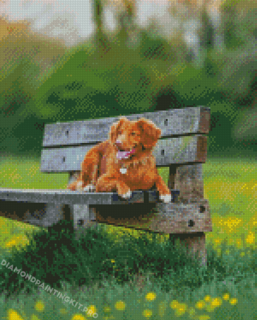 Cute Brown Dog On Bench Diamond Painting