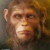 Dawn Of The Planet Of The Apes Diamond Painting