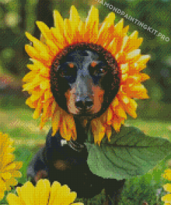 Dog with sunflower Head Diamond Painting